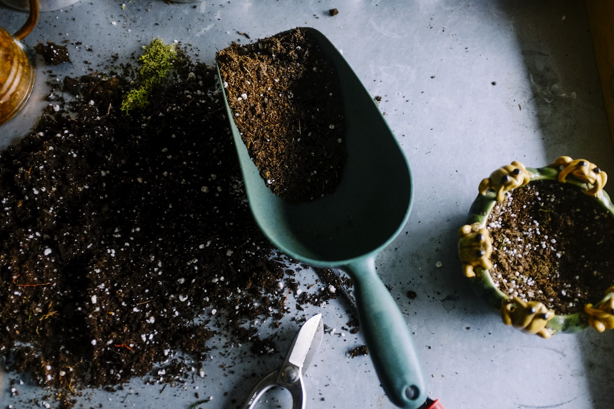 Home and garden smart gadgets plants